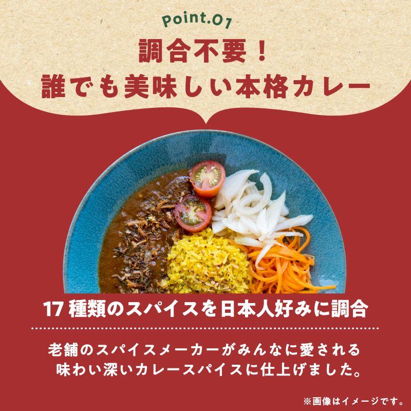 スパイス専門店の カレースパイス 150g スパイスカレー 辛くない カレー 子ども カレー粉 無塩 スパイス ミックス 17種 辛味調整可 レシピ付 SPANION | SPANION | 05