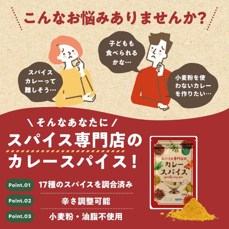 カレースパイス スパイス専門店のカレースパイス 150g スパイスカレー スパイス 17種 カレー粉 無塩 辛くない 辛味調整可 レシピ付 SPANION 爆買 | SPANION | 02