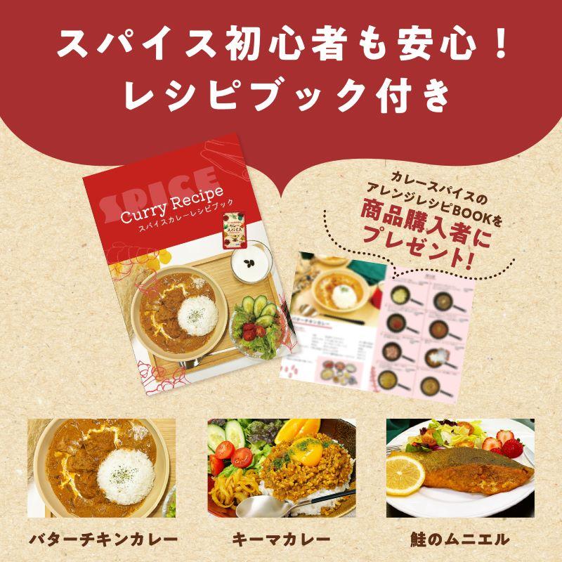 スパイス専門店の カレースパイス 150g スパイスカレー 辛くない カレー 子ども カレー粉 無塩 スパイス ミックス 17種 辛味調整可 レシピ付 SPANION | SPANION | 09