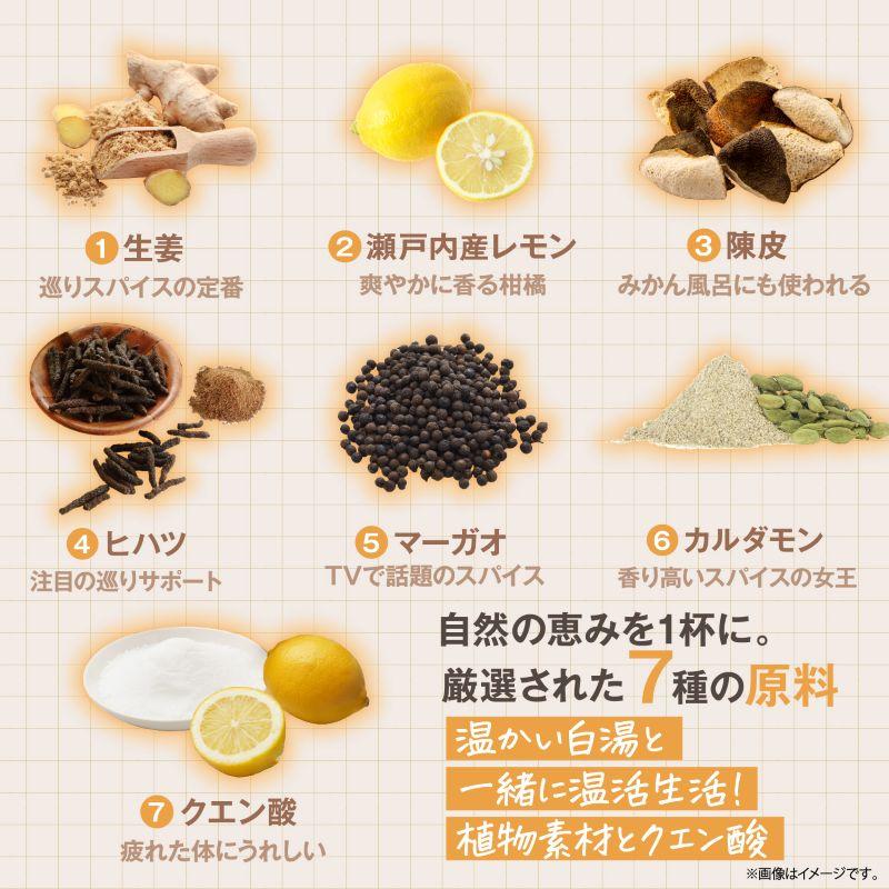 生姜ドクター 石原新菜 先生 監修 スパイス白湯の素 30g 約75杯分 スパイス 白湯 温活 レビュープレゼント SPANION | SPANION | 05