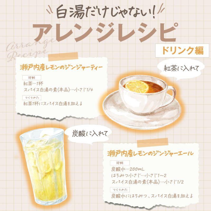 生姜ドクター 石原新菜 先生 監修 スパイス白湯の素 30g 約75杯分 スパイス 白湯 温活 レビュープレゼント SPANION | SPANION | 07