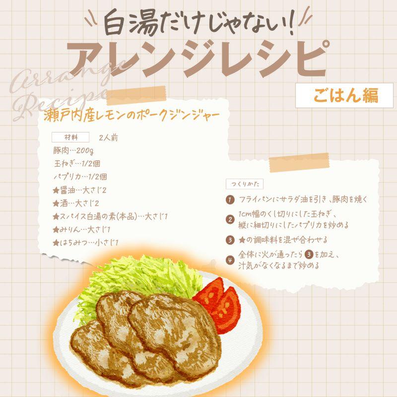 生姜ドクター 石原新菜 先生 監修 スパイス白湯の素 30g 約75杯分 スパイス 白湯 温活 レビュープレゼント SPANION | SPANION | 08