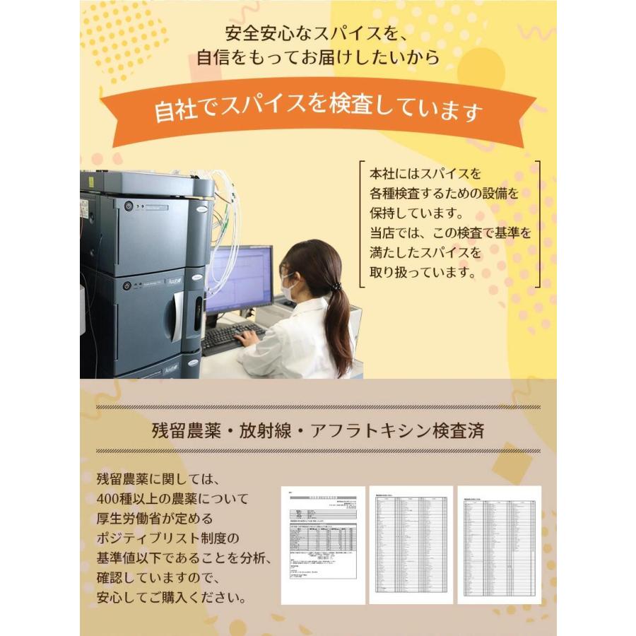 燻製 ブラックペッパー パウダー 30g 黒胡椒 コショウ 燻製胡椒 スモーク 薫製 SPANION | SPANION | 10