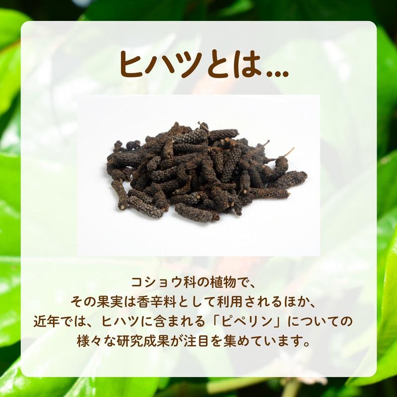 ヒハツパウダー 100g ヒハツ ロングペッパー 温活 スパイス YouTubeで紹介 自社農薬検査 SPANION 爆買 | SPANION | 02