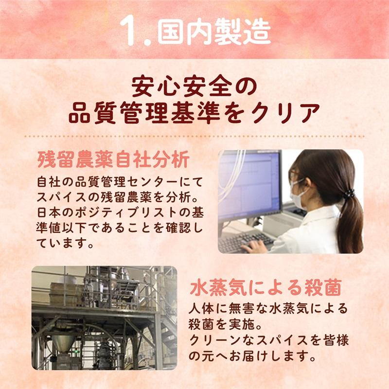 ヒハツパウダー 100g ヒハツ ロングペッパー 温活 スパイス YouTubeで紹介 自社農薬検査 SPANION 爆買 | SPANION | 08