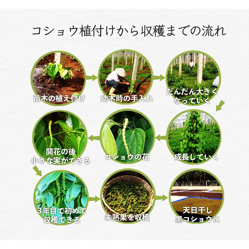 粒選り 黒コショウ 100g ブラックペッパー ホール 農薬自社分析 黒胡椒 無農薬 栽培 レビューで燻製黒胡椒 SPANION | SPANION | 12