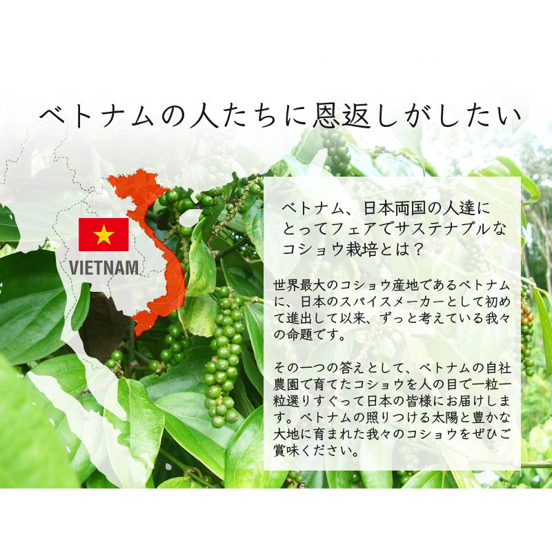 粒選り 黒コショウ 100g ブラックペッパー ホール 農薬自社分析 黒胡椒 無農薬 栽培 レビューで燻製黒胡椒 SPANION | SPANION | 04