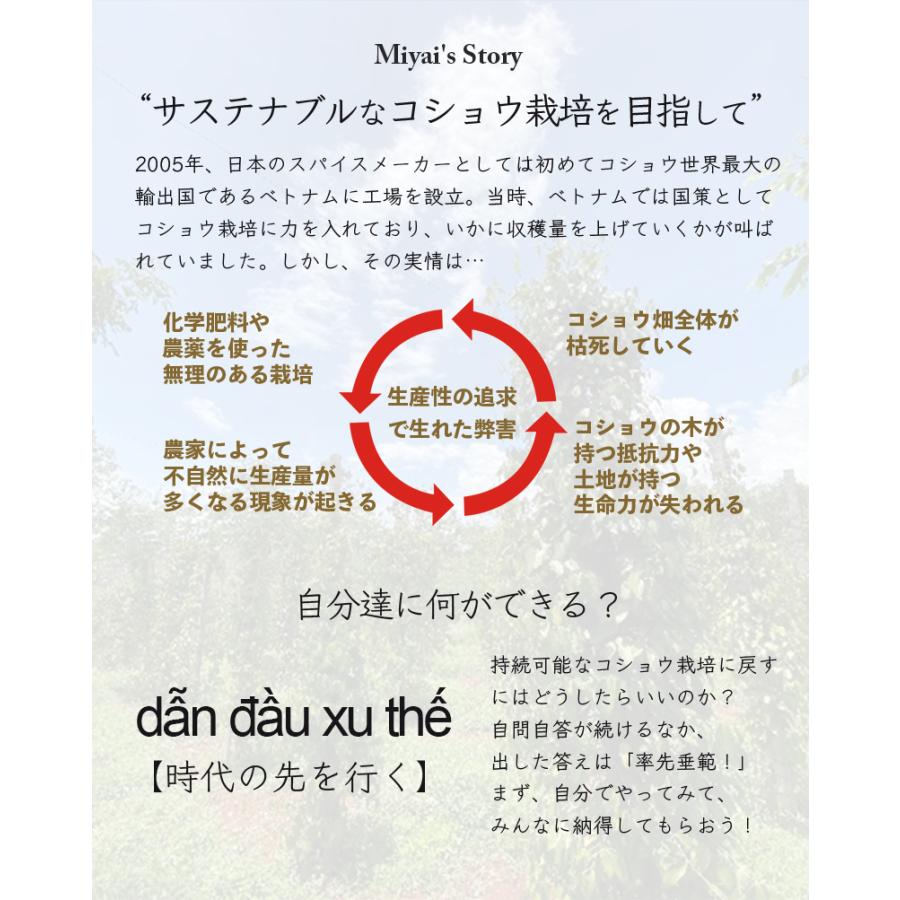 粒選り 黒コショウ 100g ブラックペッパー ホール 農薬自社分析 黒胡椒 無農薬 栽培 レビューで燻製黒胡椒 SPANION | SPANION | 08