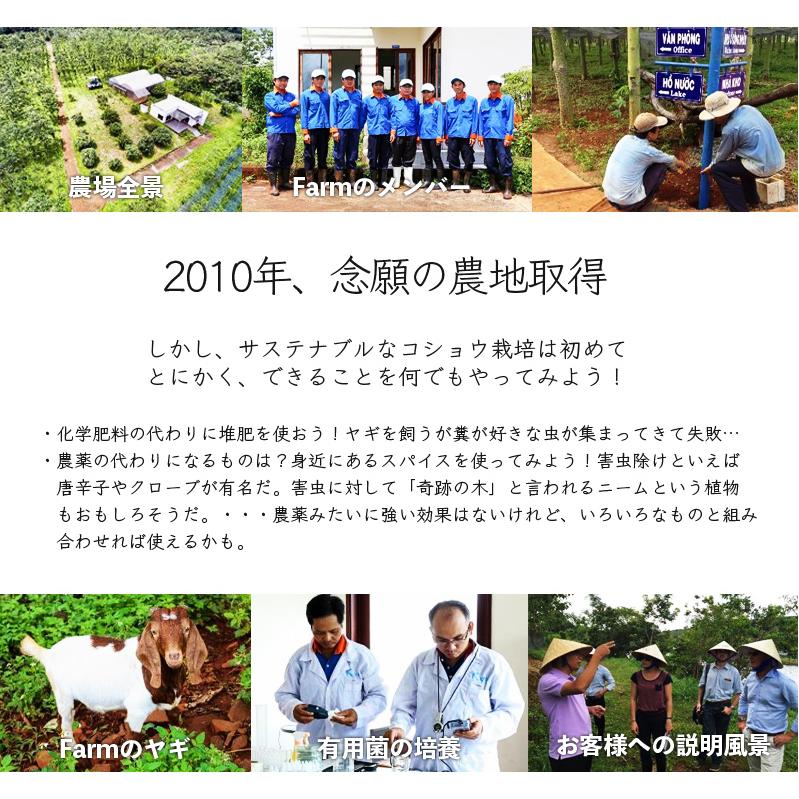 粒選り 黒コショウ 100g ブラックペッパー ホール 農薬自社分析 黒胡椒 無農薬 栽培 レビューで燻製黒胡椒 SPANION | SPANION | 09