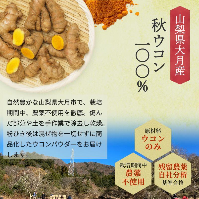 山梨県産 大月 ウコンパウダー 100g 苦味が少ない 無農薬栽培 ウコン粉末 ウコン ターメリック ターメリックパウダー SPANION | SPANION | 05