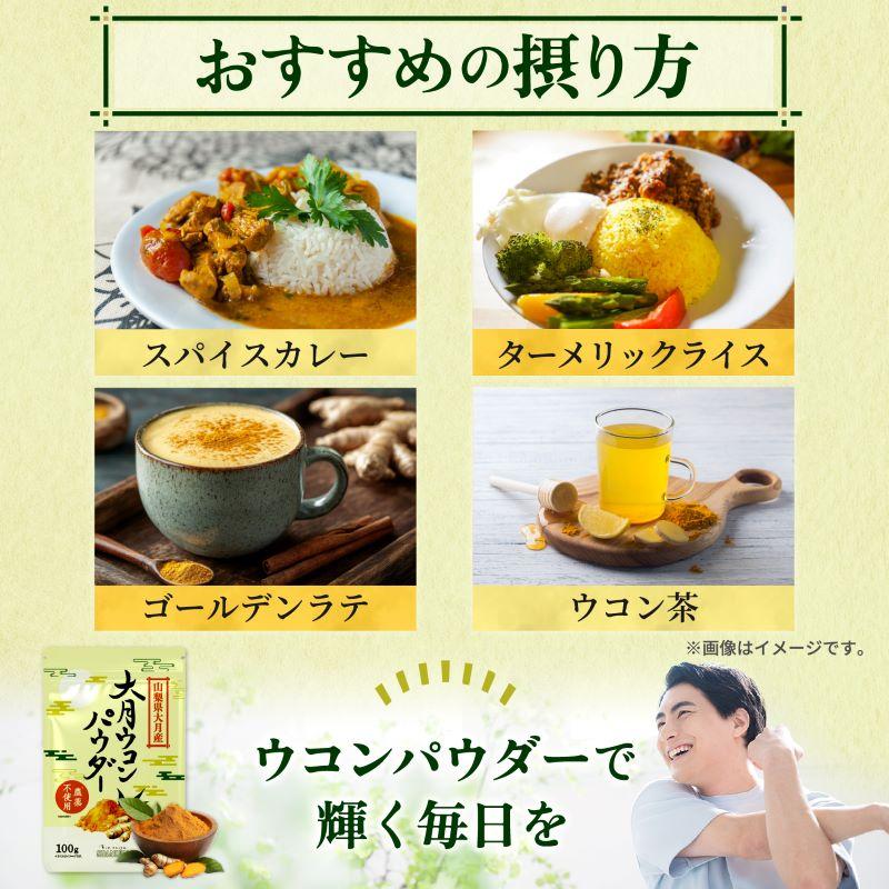 山梨県産 大月 ウコンパウダー 100g 苦味が少ない 無農薬栽培 ウコン粉末 ウコン ターメリック ターメリックパウダー SPANION | SPANION | 10