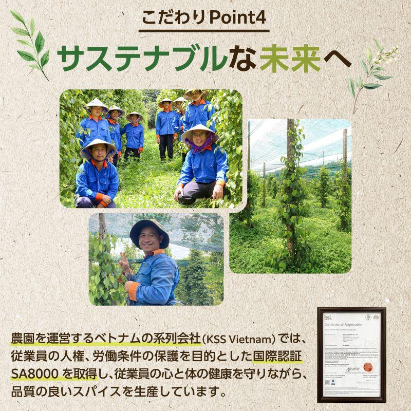 オーガニックブラックペッパー 400g 有機JAS 黒コショウ ホール ブラックペッパー 黒胡椒 こしょう レビュープレゼント SPANION 爆買 | SPANION | 05