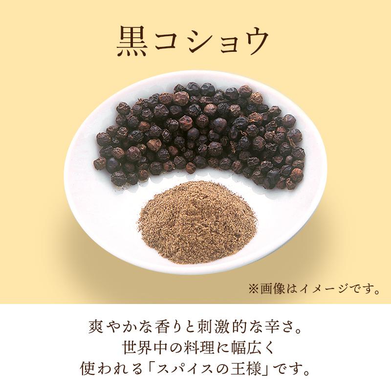 黒ひょう様検討中商品につき無言購入は御配慮のほどよろしくお願いいたします 中型ゴミ集積庫「ゴミステーション スライドドア01 片開き扉 黒