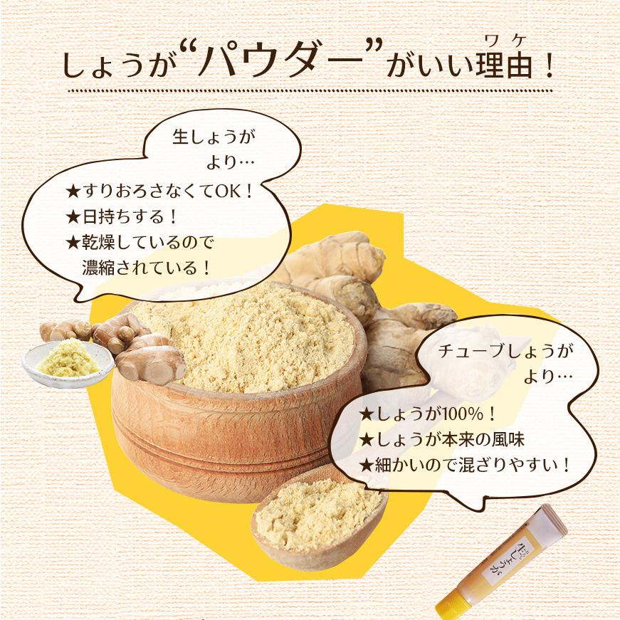 しょうがパウダー 500g ジンジャーパウダー 生姜パウダー ショウガ レビューでセイロンシナモン SPANION | SPANION | 04