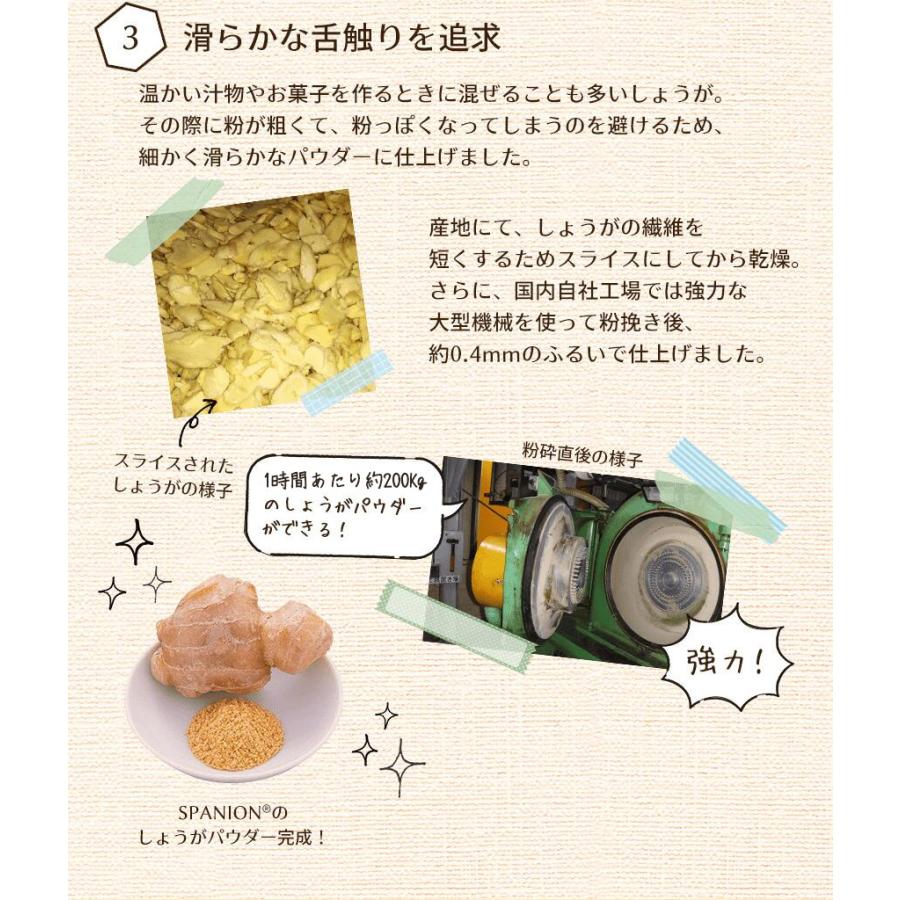 しょうがパウダー 500g ジンジャーパウダー 生姜パウダー ショウガ レビューでセイロンシナモン SPANION | SPANION | 06