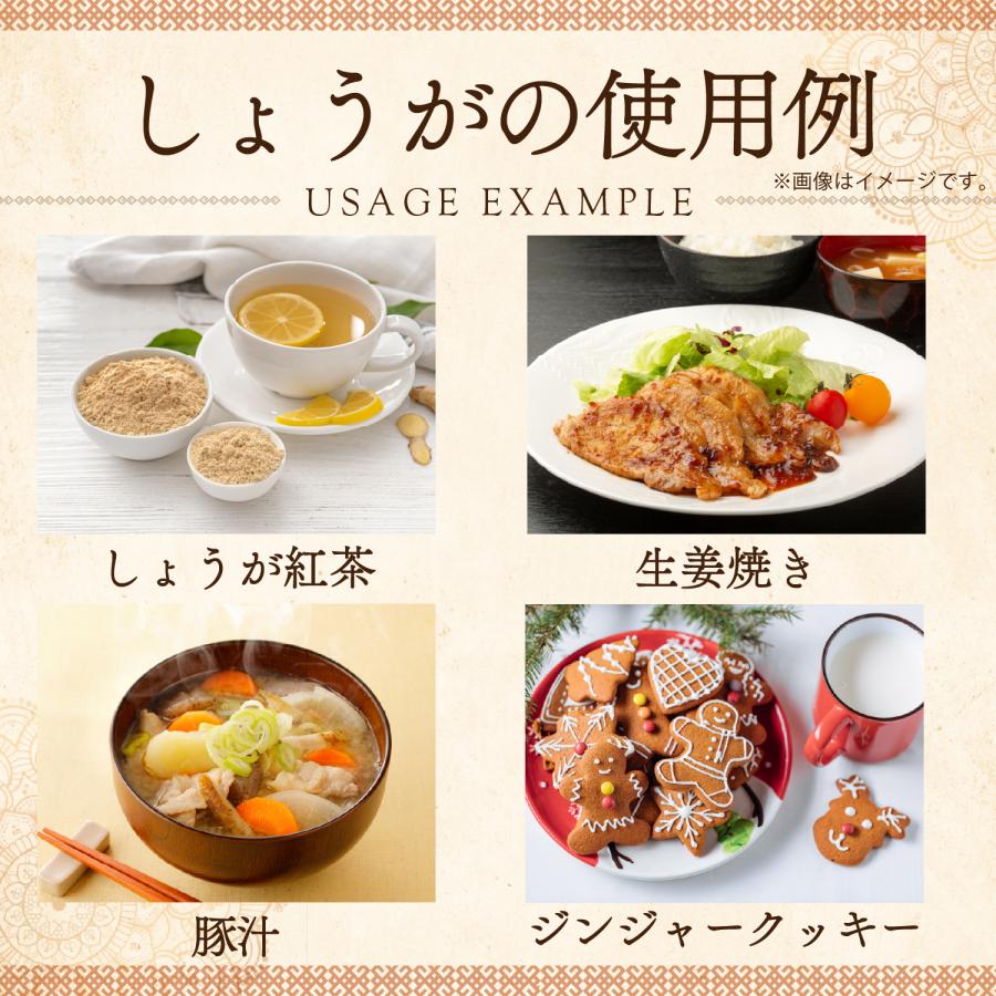 しょうがパウダー 500g ジンジャーパウダー 生姜パウダー ショウガ SPANION 爆買 | SPANION | 05