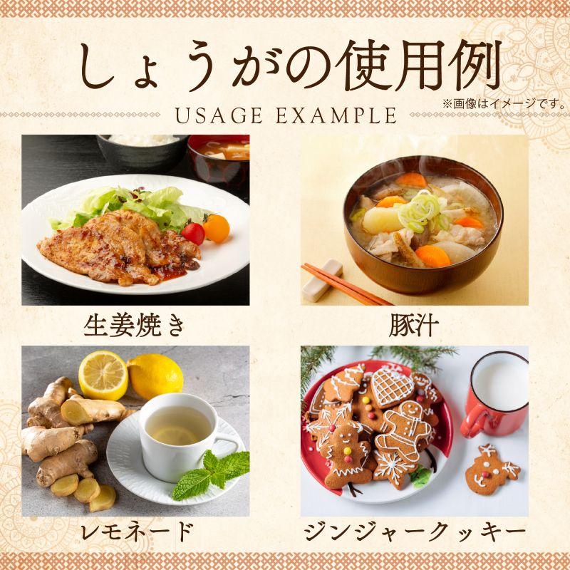 しょうがパウダー 100g 自社農薬検査 ジンジャーパウダー 生姜パウダー レビューでセイロンシナモン SPANION | SPANION | 07