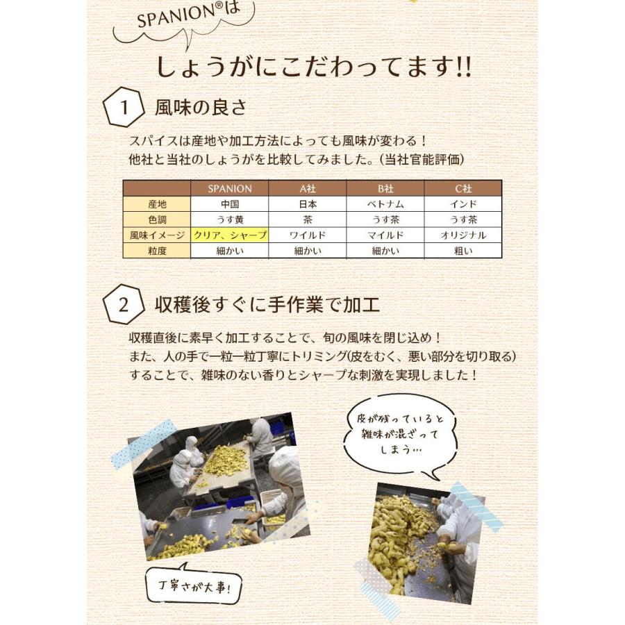 しょうがパウダー 100g 自社農薬検査 ジンジャーパウダー 生姜パウダー レビューでセイロンシナモン SPANION | SPANION | 05