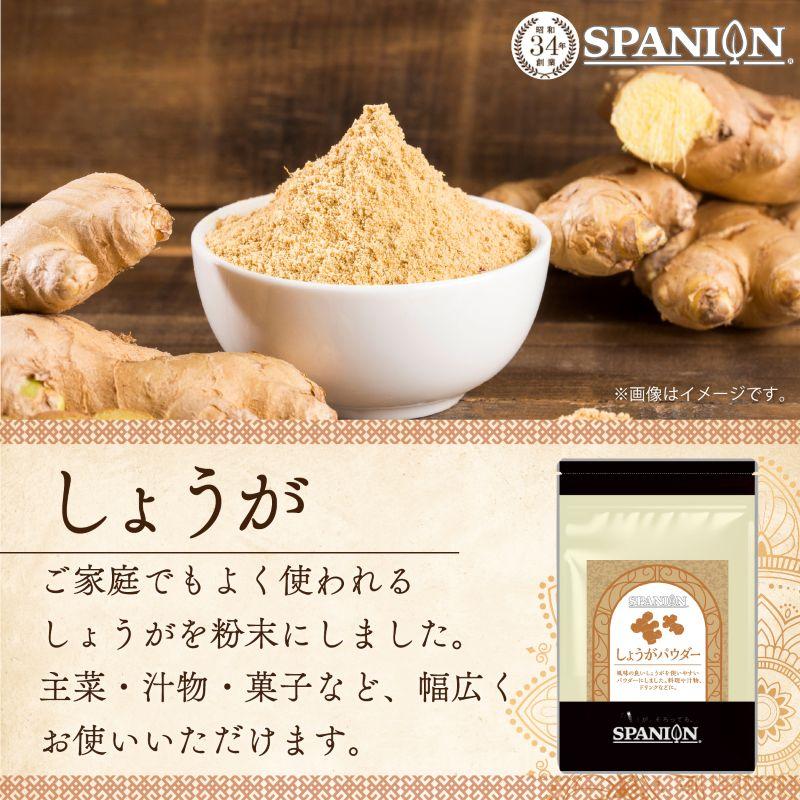 しょうがパウダー 100g 自社農薬検査 ジンジャーパウダー 生姜パウダー レビューでセイロンシナモン SPANION | SPANION | 03