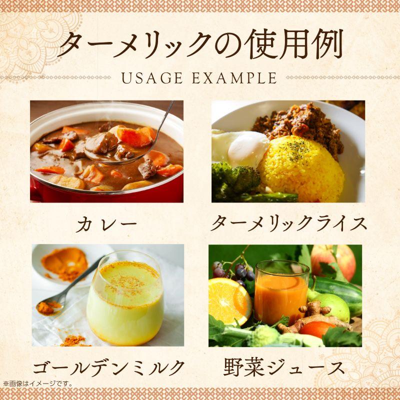 ターメリック パウダー 500g 大容量 ウコン ウコンパウダー 粉末 秋うこん 秋ウコン 業務用 レビュープレゼント SPANION | SPANION | 06