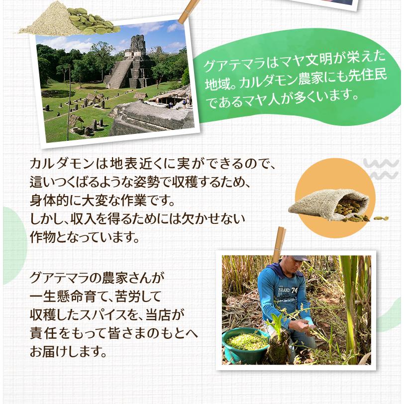 カルダモンパウダー 100g チャック付袋 カルダモン カルダモン粉末 レビュープレゼント SPANION | SPANION | 09