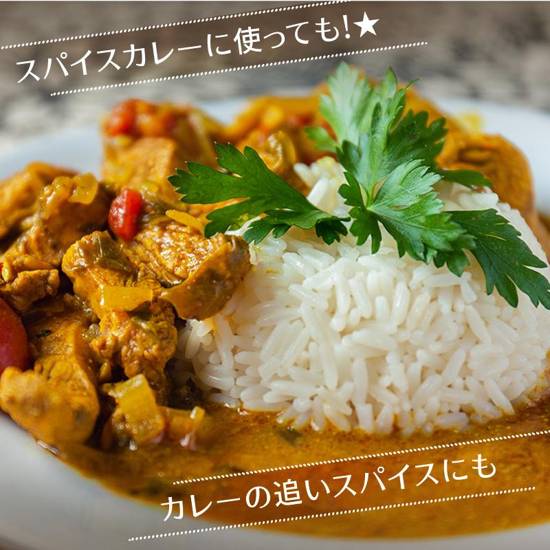 カルダモンパウダー 100g チャック付袋 カルダモン カルダモン粉末 レビュープレゼント SPANION | SPANION | 10