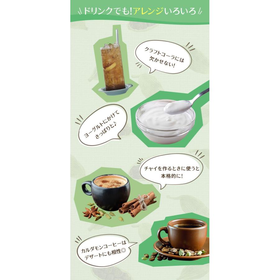 カルダモンパウダー 100g チャック付袋 カルダモン カルダモン粉末 レビュープレゼント SPANION | SPANION | 11