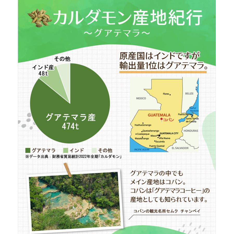 カルダモンパウダー 100g チャック付袋 カルダモン カルダモン粉末 レビュープレゼント SPANION | SPANION | 07