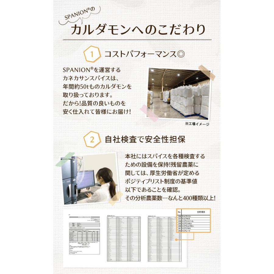 カルダモンパウダー 100g チャック付袋 カルダモン カルダモン粉末 レビュープレゼント SPANION | SPANION | 05