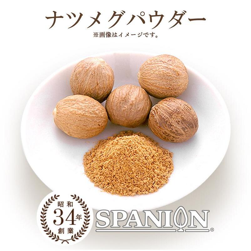 ナツメグパウダー 100g ナツメグ 粉末 チャック付袋 自社農薬検査 SPANION | SPANION