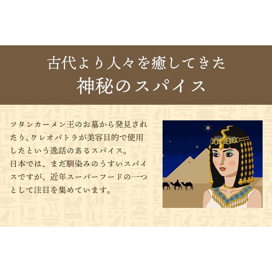 ブラッククミン シード 100g レビューでヒハツ 自社農薬検査 カロンジ 送料無料 SPANION | SPANION | 06