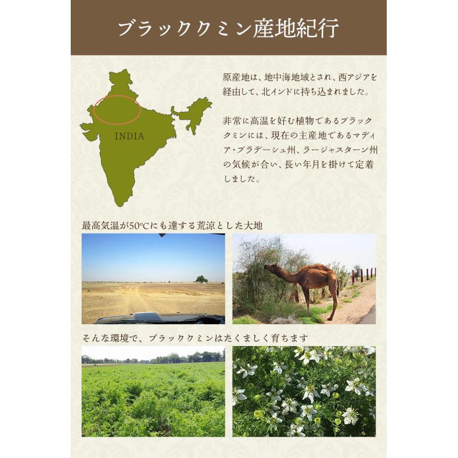 ブラッククミン シード 100g レビューでヒハツ 自社農薬検査 カロンジ 送料無料 SPANION | SPANION | 07