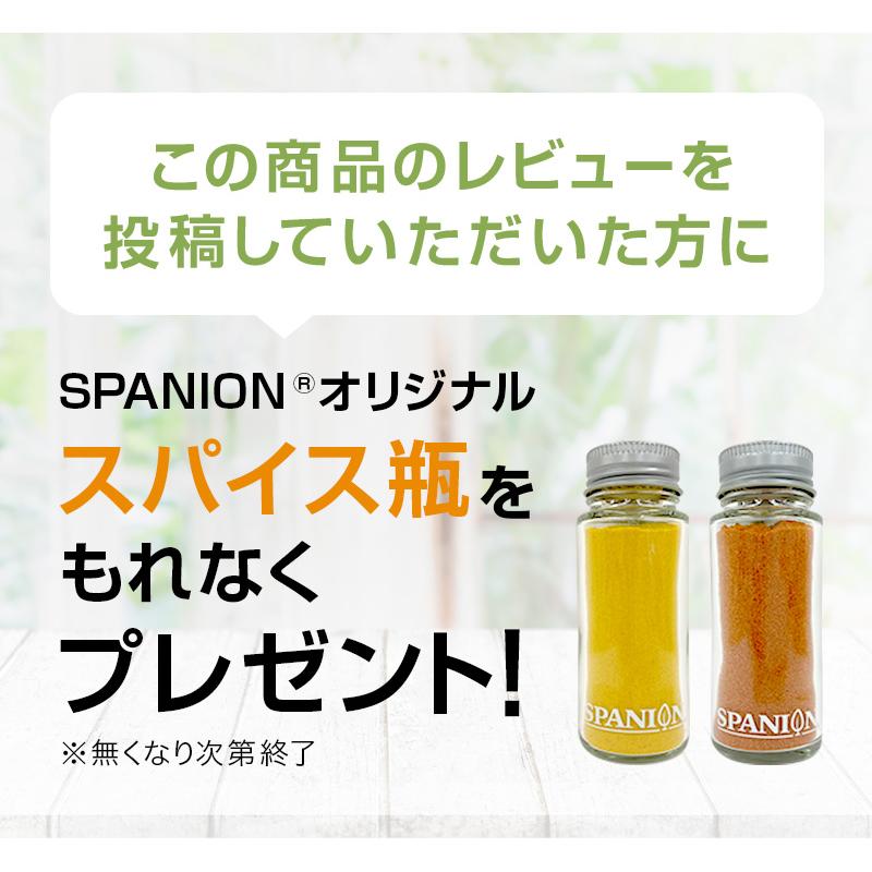 パプリカパウダー 100g パプリカ 赤色 色付け 粉末 ぱぷりか 自社農薬検査合格 スパイスカレー レビュープレゼント SPANION | SPANION | 02