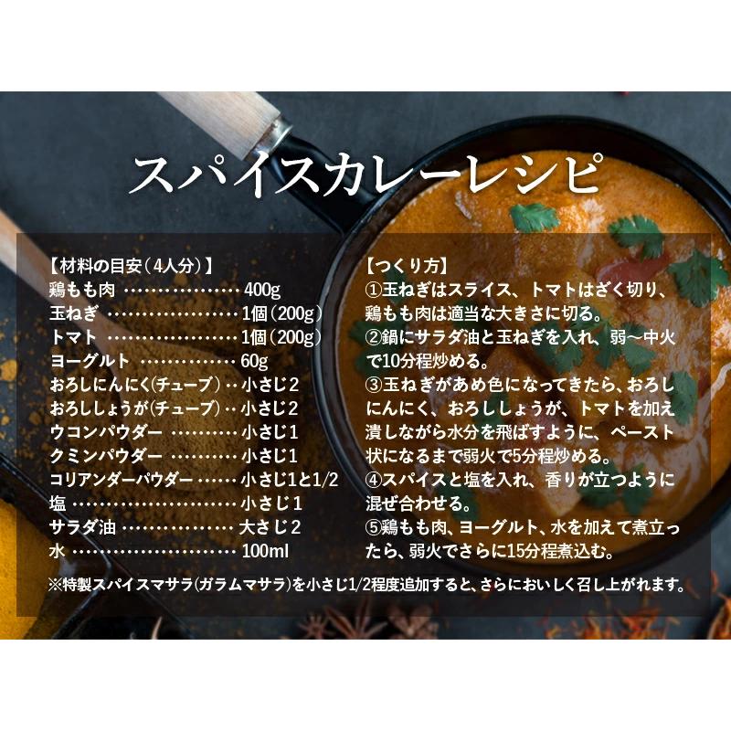 カレースパイス 3種セット 各100g 100皿分 スパイスカレー スパイスセット カレー粉 レシピ付き レビュープレゼント SPANION | SPANION | 08