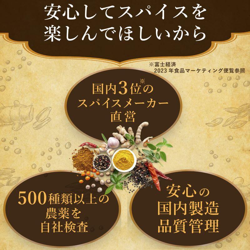 カレースパイス 4種セット 各100g スパイスカレー スパイスセット レビュープレゼント レシピ付き SPANION | SPANION | 08