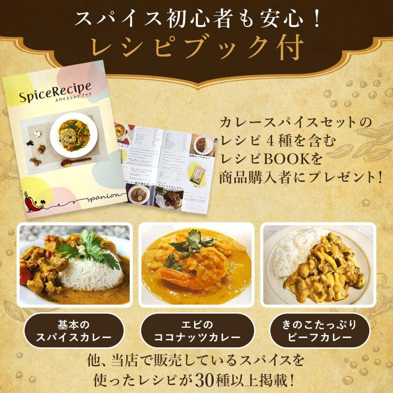 カレースパイス 4種セット 各100g スパイスカレー スパイスセット レビュープレゼント レシピ付き SPANION | SPANION | 06