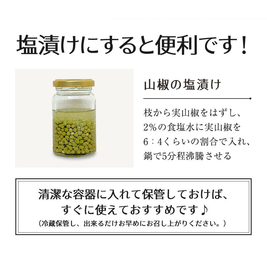 2026年産 ぶどう山椒 実山椒 山椒の実 500g レシピ付き 冷凍便 篠畑農園 山椒 送料無料 SPANION 爆買 | SPANION | 13