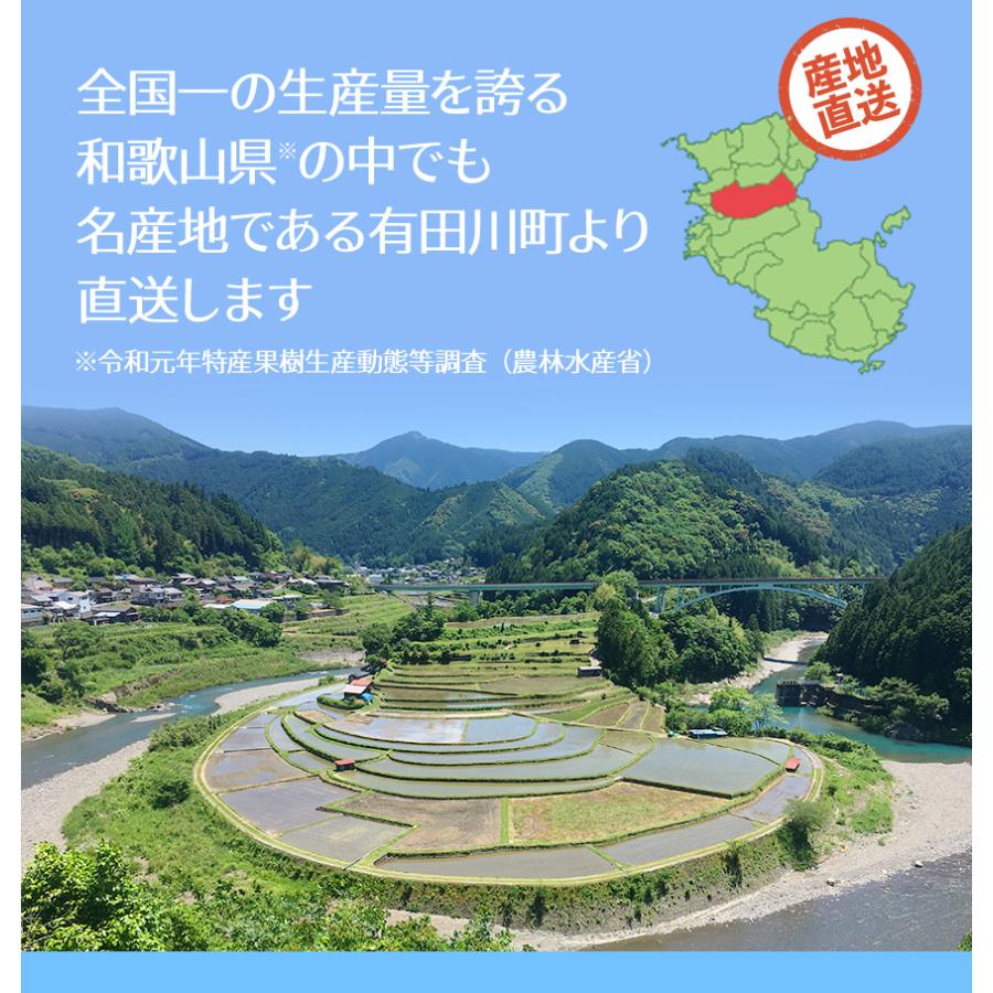 2026年産 ぶどう山椒 実山椒 山椒の実 500g レシピ付き 冷凍便 篠畑農園 山椒 送料無料 SPANION 爆買 | SPANION | 03