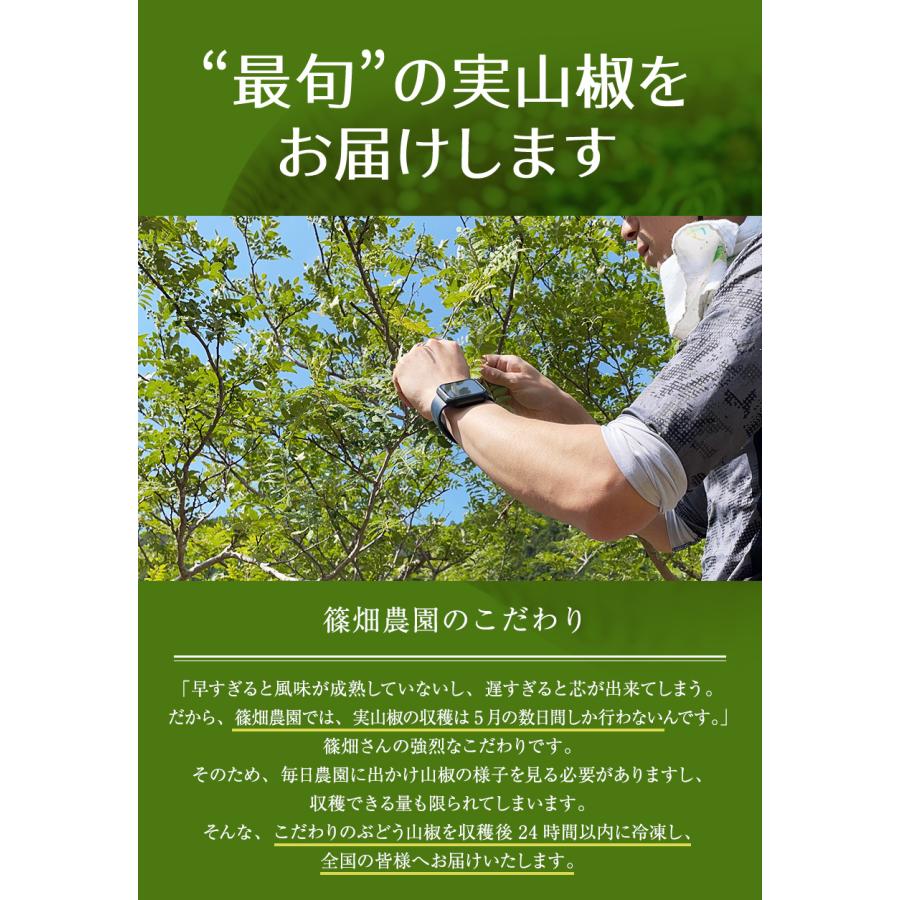 2026年産 ぶどう山椒 実山椒 山椒の実 500g レシピ付き 冷凍便 篠畑農園 山椒 送料無料 SPANION 爆買 | SPANION | 07