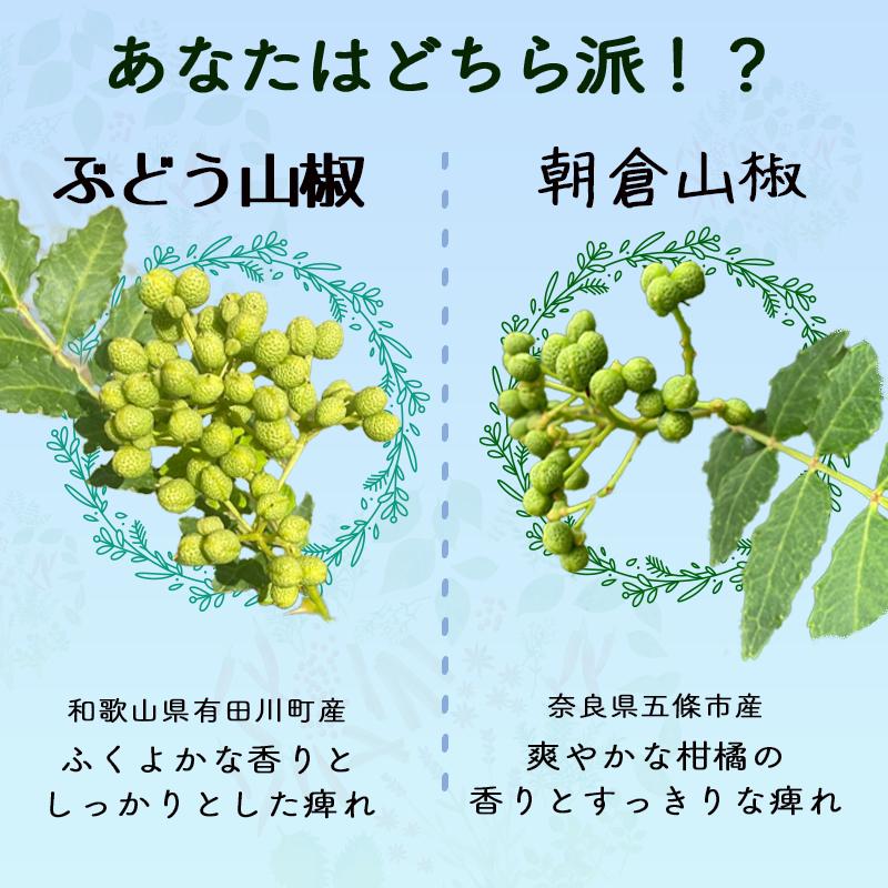 2026年産 ぶどう山椒 実山椒 山椒の実 500g レシピ付き 冷凍便 篠畑農園 山椒 送料無料 SPANION 爆買 | SPANION | 05