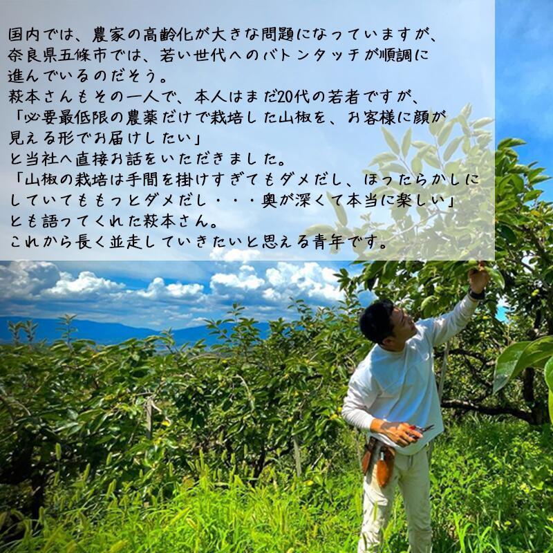 残りわずか】レビューで花椒 レシピ付 奈良県産 朝倉山椒 500g 冷凍便 