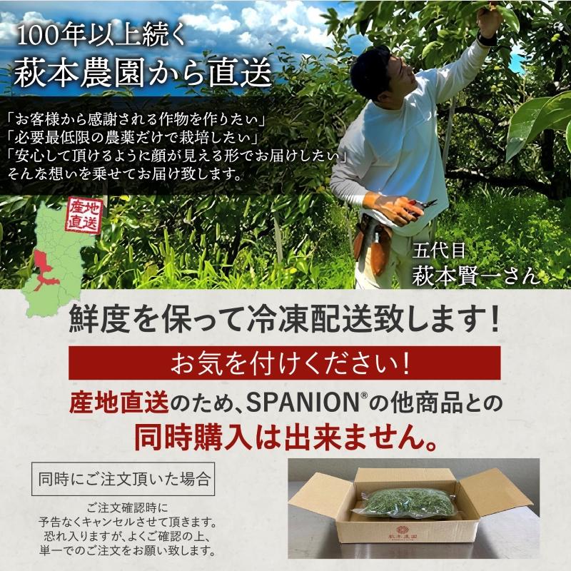 SPANION 奈良県産 朝倉山椒 500g 冷凍山椒 山椒の実 実山椒 山椒