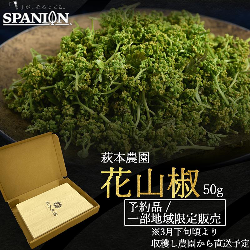 【2026年産 予約開始】 花山椒 奈良県産 約50g 生 花さんしょう 冷蔵 朝採り 一部地域限定発売 山椒 国産 さんしょ 花さんしょ SPANION | SPANION