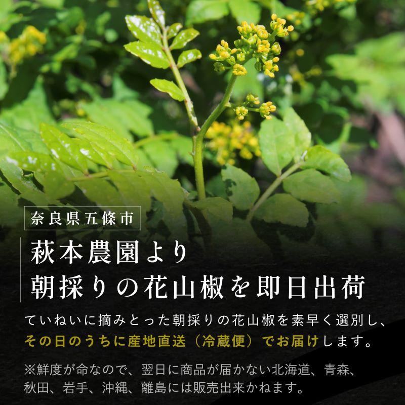 SPANION 【予約品】【一部地域限定発売】奈良県産 花山椒 約50g 冷蔵品 