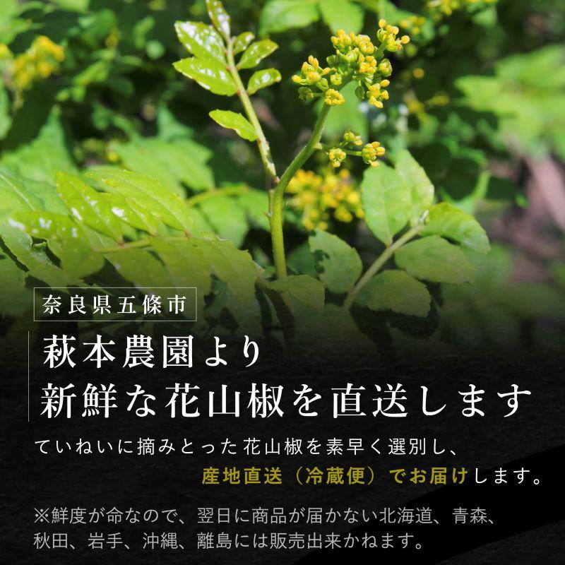 【2026年産 予約開始】 花山椒 奈良県産 約50g 生 花さんしょう 冷蔵 朝採り 一部地域限定発売 山椒 国産 さんしょ 花さんしょ SPANION | SPANION | 05