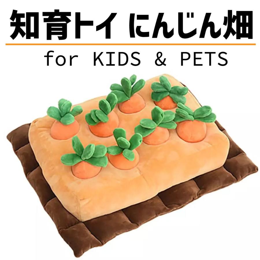 知育玩具 知育 おもちゃ 犬 にんじん にんじん畑 ぬいぐるみ 8本 Indynjtl Org