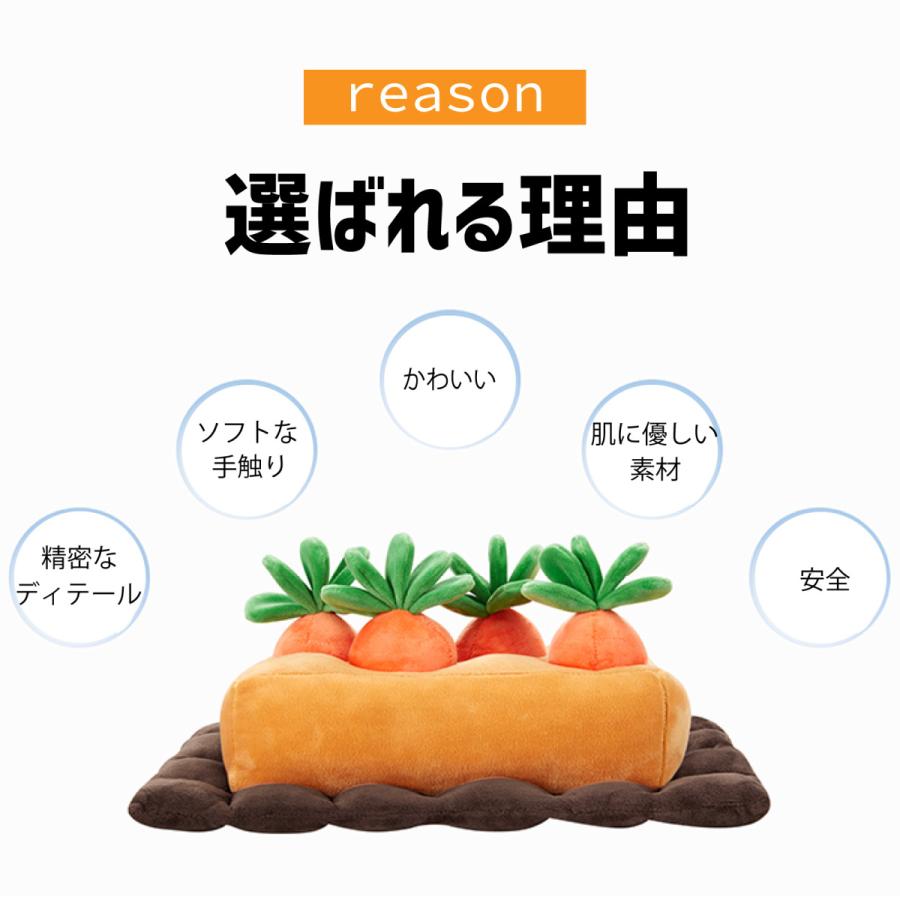 知育玩具 知育 おもちゃ 犬 にんじん にんじん畑 ぬいぐるみ 4本 Spkp0013 スパークス 通販 Yahoo ショッピング