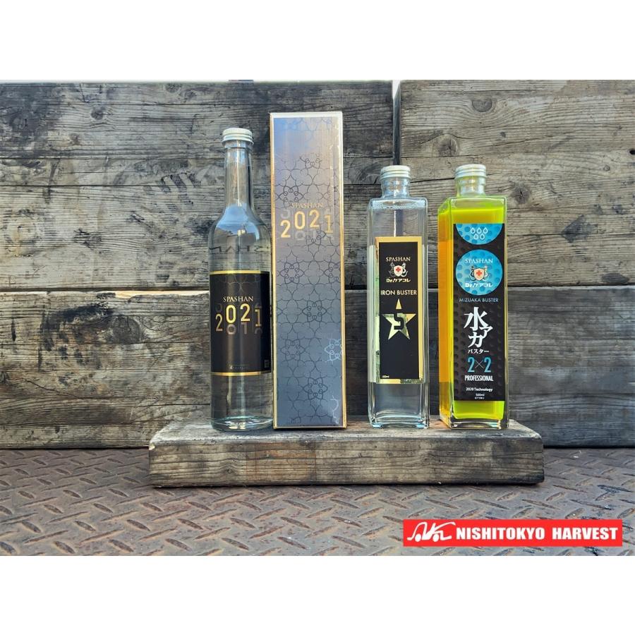 55 以上節約 おまけ付き スパシャン21 下地処理セット ブラック ゴールド Spashan 人気ブランドを Homeofmalones Com