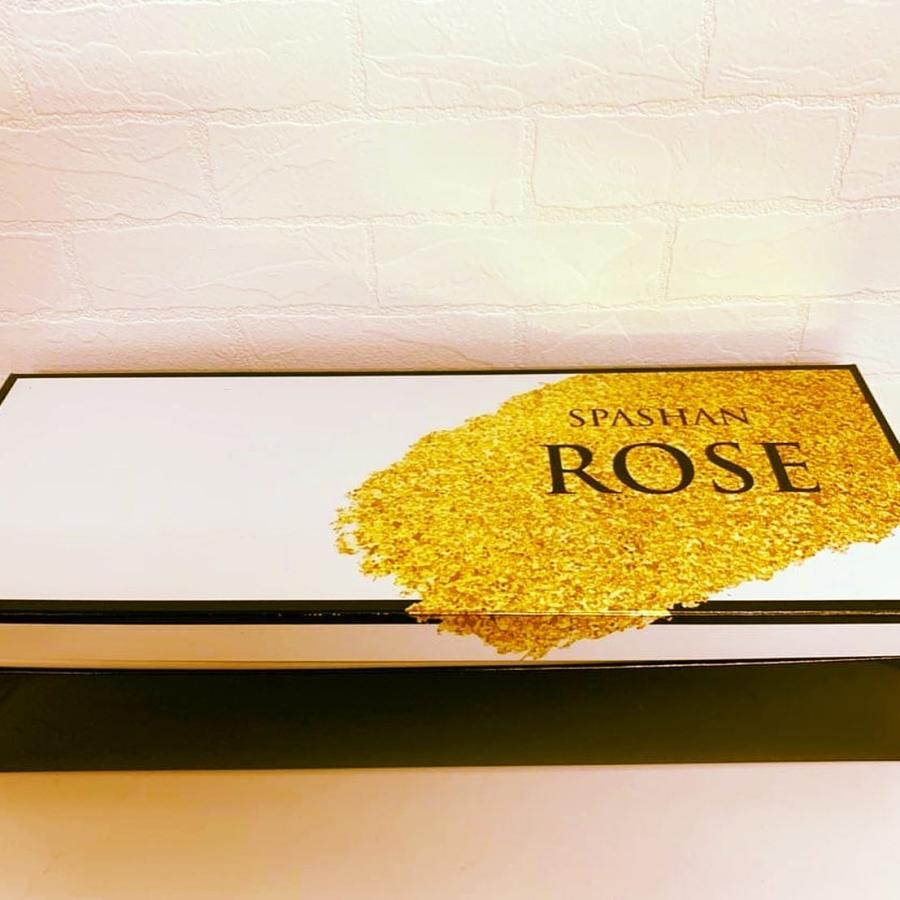 SPASHAN2021 ROSE LINE 1000本限定　スパシャン  ロゼライン |  | 01