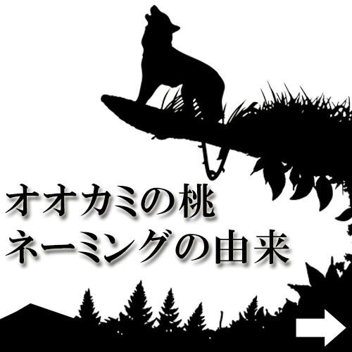 オオカミの桃（無塩トマトジュース）食品無添加  1L ホクレン/ 「採れたて」のトマトジュース 北海道土産 人気 健康｜spashan-store｜05